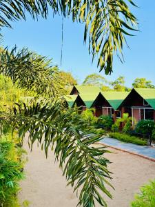 a house with a palm tree in front of it at Taya Beach Front in Gokarna