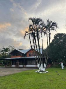 a group of palm trees in front of a building at Cabaña Brisa Del Río in Cooper
