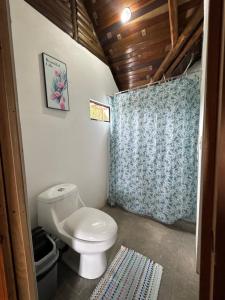 a bathroom with a toilet and a blue shower curtain at Cabaña Brisa Del Río in Cooper +12 photos