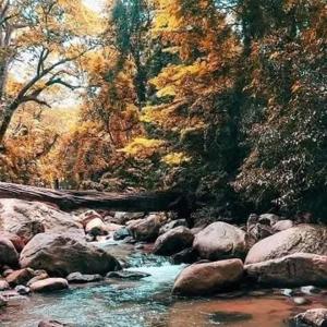 a painting of a river with rocks and trees at Sahan geust inn in Wellawaya