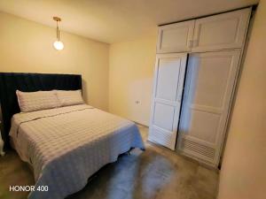 a bedroom with a bed and a large closet at Adel 2 Ovalo Larco Departamento in Trujillo