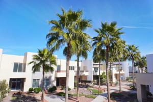 a group of palm trees in front of a building at Beach, Please MX in Puerto Peñasco