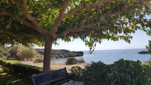 Fotografie z fotogalerie ubytování Apolloneia Apartments v destinaci Frangokastello + 31 fotografií