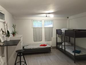 a room with two bunk beds and a window at Villa Sunshine in Biscarrosse-Plage