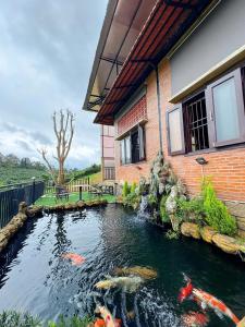 a koi pond in front of a house at Bối Villa Bảo Lộc in Minrong Sekang +5 photos
