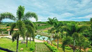 a group of palm trees next to a river at Bối Villa Bảo Lộc in Minrong Sekang