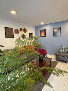 a living room with a couch and a green plant at departamento Terraza Amecameca II in Amecameca de Juárez