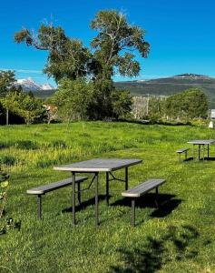 three picnic tables in a field of grass at 3 King Beds Spacious 4 BR 3 BATH AC Near Jackson in Victor