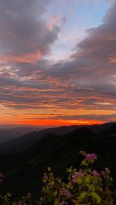 a sunset in the mountains with flowers in the foreground at Đồi Gió Homestay in Bắc Yên
