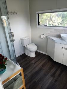 a bathroom with a toilet and a sink and a window at Wharf Street Art in Foxton +25 photos