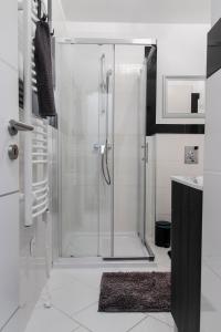 a shower in a bathroom with a glass shower stall at Luxe Central Apartments in Budapest +47 photos