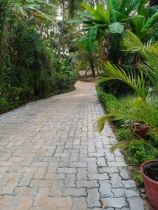 a cobblestone path in a garden with plants at Lagoon celebration10 in Perumanseri