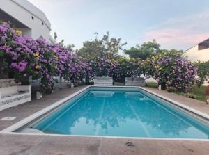 a swimming pool in front of a building with purple flowers at Casa Barcelona in Honda