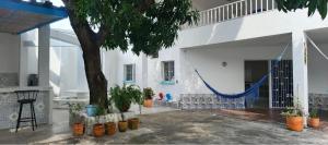 a courtyard with a tree and a hammock in a building at Casa Barcelona in Honda