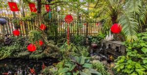 a garden with red lanterns and plants and a pond at Oáza coffee & bar in Hanoi