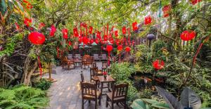a garden with tables and chairs and red lanterns at Oáza coffee & bar in Hanoi