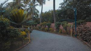 a walkway in a garden with trees and plants at bethi farms in Malkāpur +28 photos