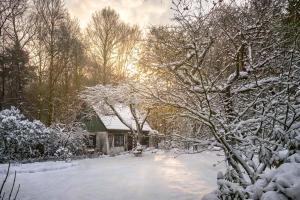 a snow covered yard with a house in the background at kleines Haus in Ganderkesee
