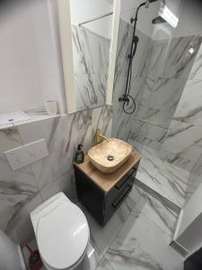 a bathroom with a sink and a shower and a toilet at SylvanoStudioCenter in Ploieşti +28 photos