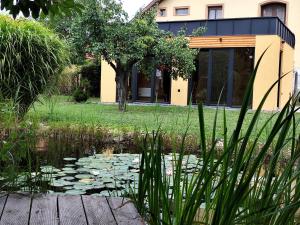 a house with a pond in front of it at Ditlin Apartmanok in Pápa