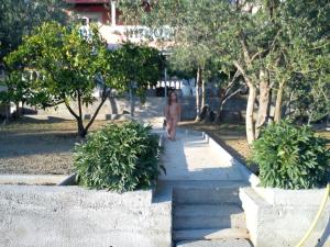 Vonkajšia záhrada v ubytovaní Apartments Banic