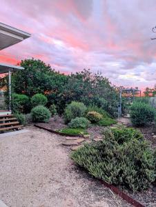 a garden with bushes and trees with a cloudy sky at Herbgully Cottage in Roma