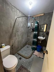 a bathroom with a shower and a toilet and a sink at Balay Yuhom in General Luna +38 photos