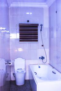a bathroom with a toilet and a bath tub at G Point Hotel Ikeja in Mama