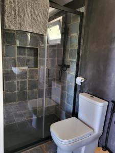 a bathroom with a toilet and a shower at La Terrazza Segreta - Vista Mare in Atri +12 photos
