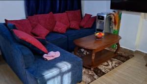 a blue couch with red pillows and a table at Sunny Studio Kikuyu Town in Kikuyu