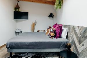 a bedroom with a bed and a tv on a wall at La Villa d'Hélène Chambre d'hôtes BnB - Cluses - Parking Voiture - Moto - Vélo in Cluses