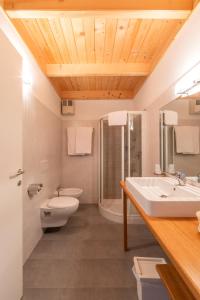 a bathroom with a sink and a toilet and a shower at Alloggi agrituristici Paraschos in San Floriano del Cóllio