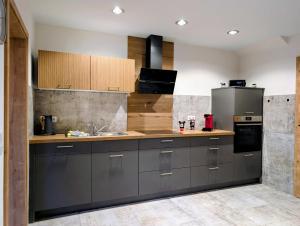a kitchen with gray cabinets and a sink at Ferienwohnung Forest Life in Hasselfelde