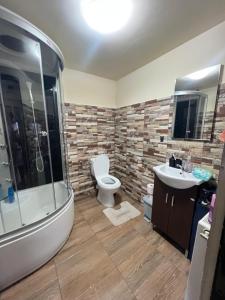 a bathroom with a shower and a toilet and a sink at Casa AyA Colibita in Colibiţa +39 photos