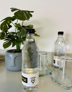 two bottles and glasses on a table with a potted plant at Hostel POINT Nova Gorica, Self Check-In with code access in Nova Gorica