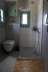 a bathroom with a shower with a toilet and a window at Villa Tsakalaki in Stavríon +34 photos