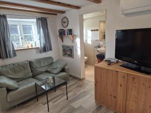 a living room with a couch and a flat screen tv at Rechenpeterhäusle in Fischerbach