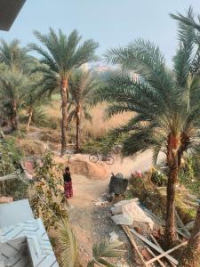 a woman standing in front of palm trees at Laxmi Narasimha Hotel in mayapur