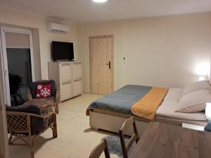a bedroom with a bed and a tv and a chair at Noclegi Pod Dębem , Wiśniówka in Brzózki