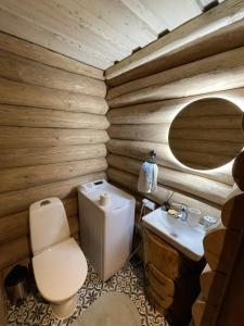 a bathroom with a toilet and a sink at Nordic Log-House with Sauna in Valga