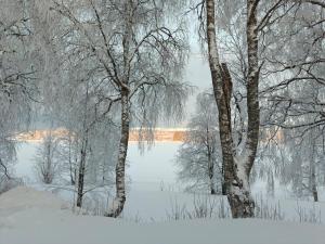 a snow covered forest with trees and a lake at Aurora riverside home in Rovaniemi