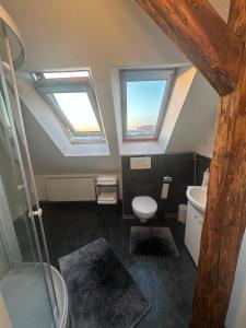a bathroom with a toilet and a sink and two windows at Gemütliche Wohnung in Burg in Burg bei Magdeburg