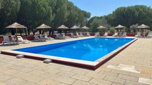 ein großes Schwimmbecken mit Liegestühlen und Sonnenschirmen in der Unterkunft Markádia in Odivelas