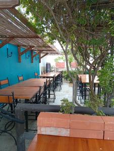 a row of tables and chairs under a tree at 566 Hostel in La Serena