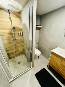 a bathroom with a shower and a toilet at Appartement moderne et chaleureux in Mutrécy