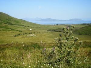 a field of grass with a view of the ocean at Braehouse cottage in Kilmory