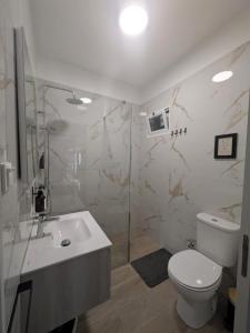 a bathroom with a toilet and a sink and a shower at Vitoria's Vale in Funchal +30 photos