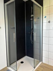 a shower with a glass door in a bathroom at Ferienhaus Seenelke in Neßmersiel +20 photos