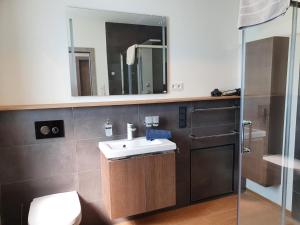 a bathroom with a sink and a toilet and a mirror at Ferienhaus Wiesenpieper in Dornum +44 photos