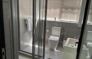 a bathroom with a shower and a toilet and a sink at Ericka's Luxurious Guesthouse in Vaal Marina +21 photos